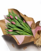 Tulip Wrap