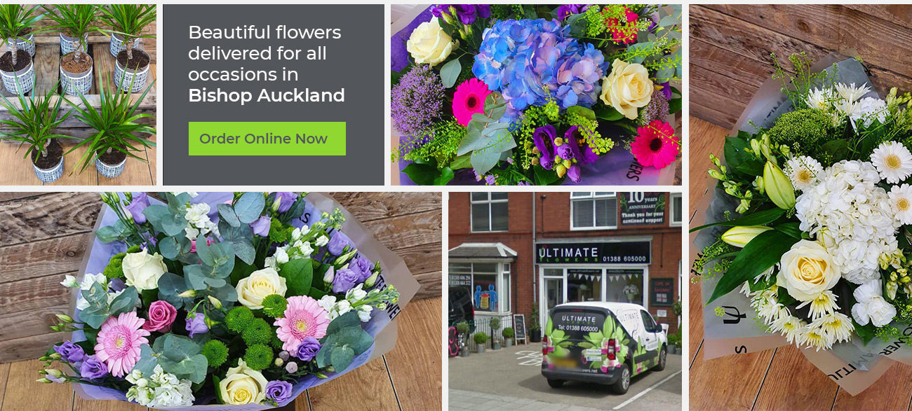 Ultimate Flowers Auckland Order Online or Call 01388 605000